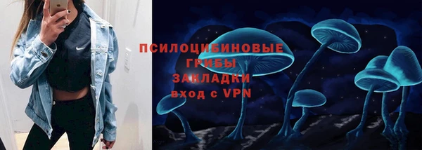 амф Алексин