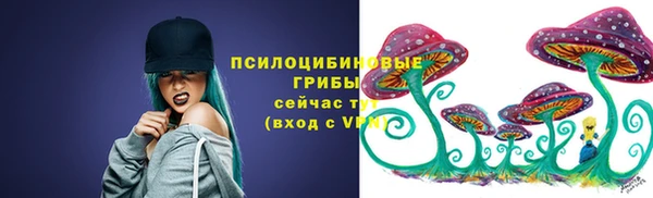 амф Алексин
