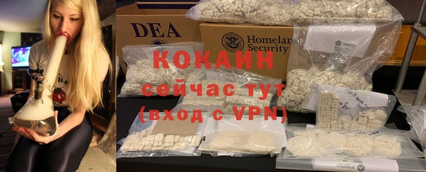 спайс Алзамай