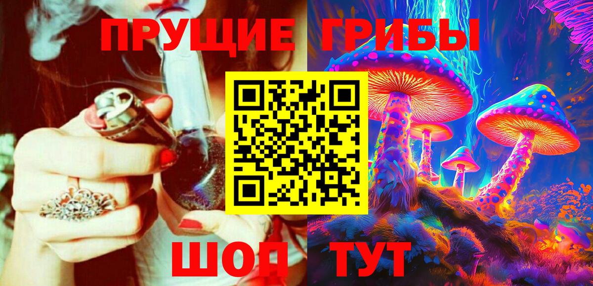 Галлюциногенные грибы Psilocybine cubensis Киров