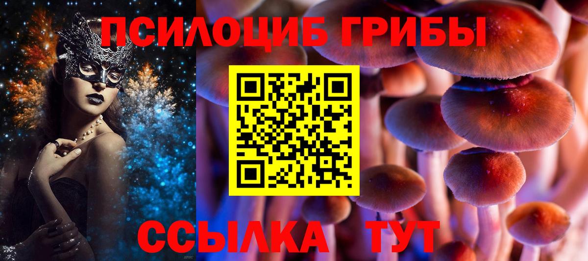 Киров  Псилоцибиновые грибы Cubensis  Галлюциногенные грибы прущие грибы  Вход с VPN 